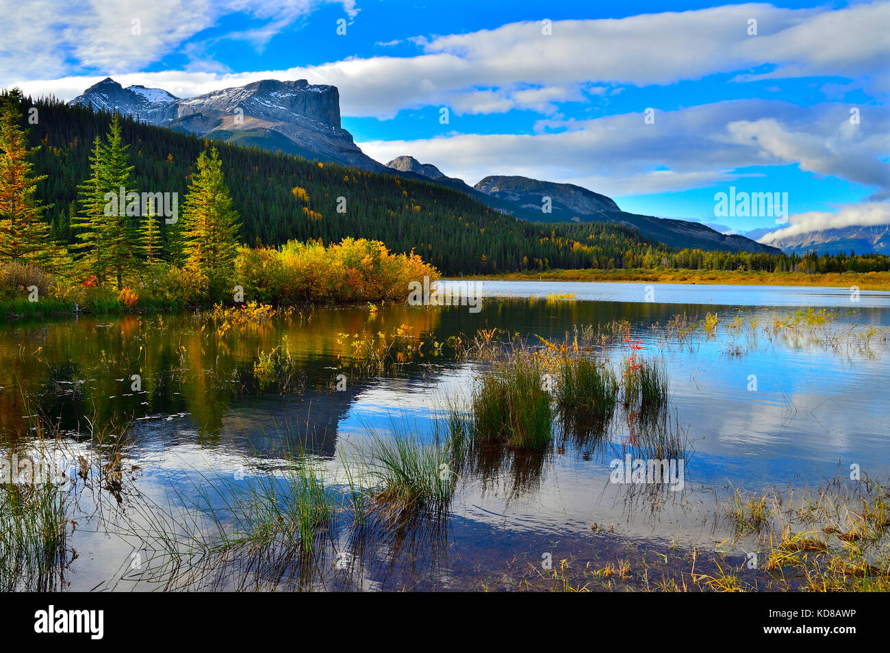 An autumn landscape image of Roche Miette mountain standing tall at the entrance to Jasper National Park, in Alberta Canada. Stock Photo