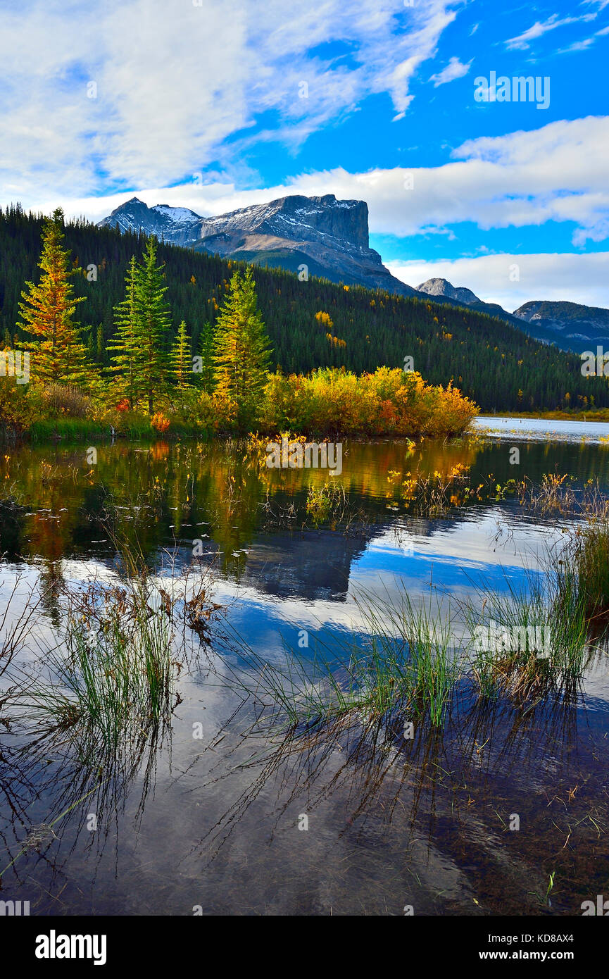 A vertical fall landscape image of Roche Miette mountain standing tall at the entrance to Jasper National Park, in Alberta Canada. Stock Photo