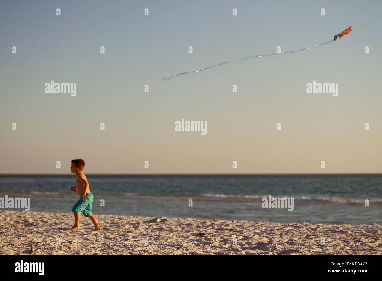 Boy flying a kite on the beach, Sarasota, Florida, United States Stock
