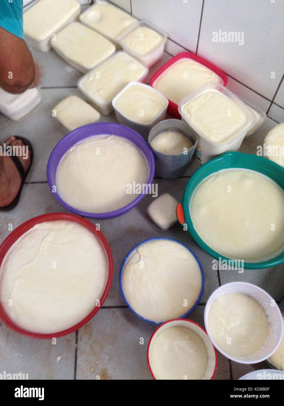 Cheese making in a rustic farm, cheese in buckets and plastic
