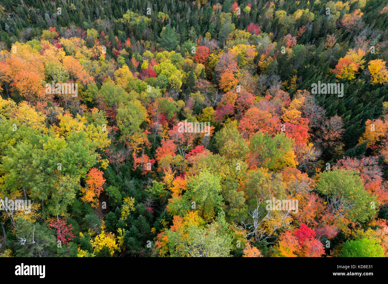 Fall color in the Adirondack Mountains around Lake Placid NY Stock Photo