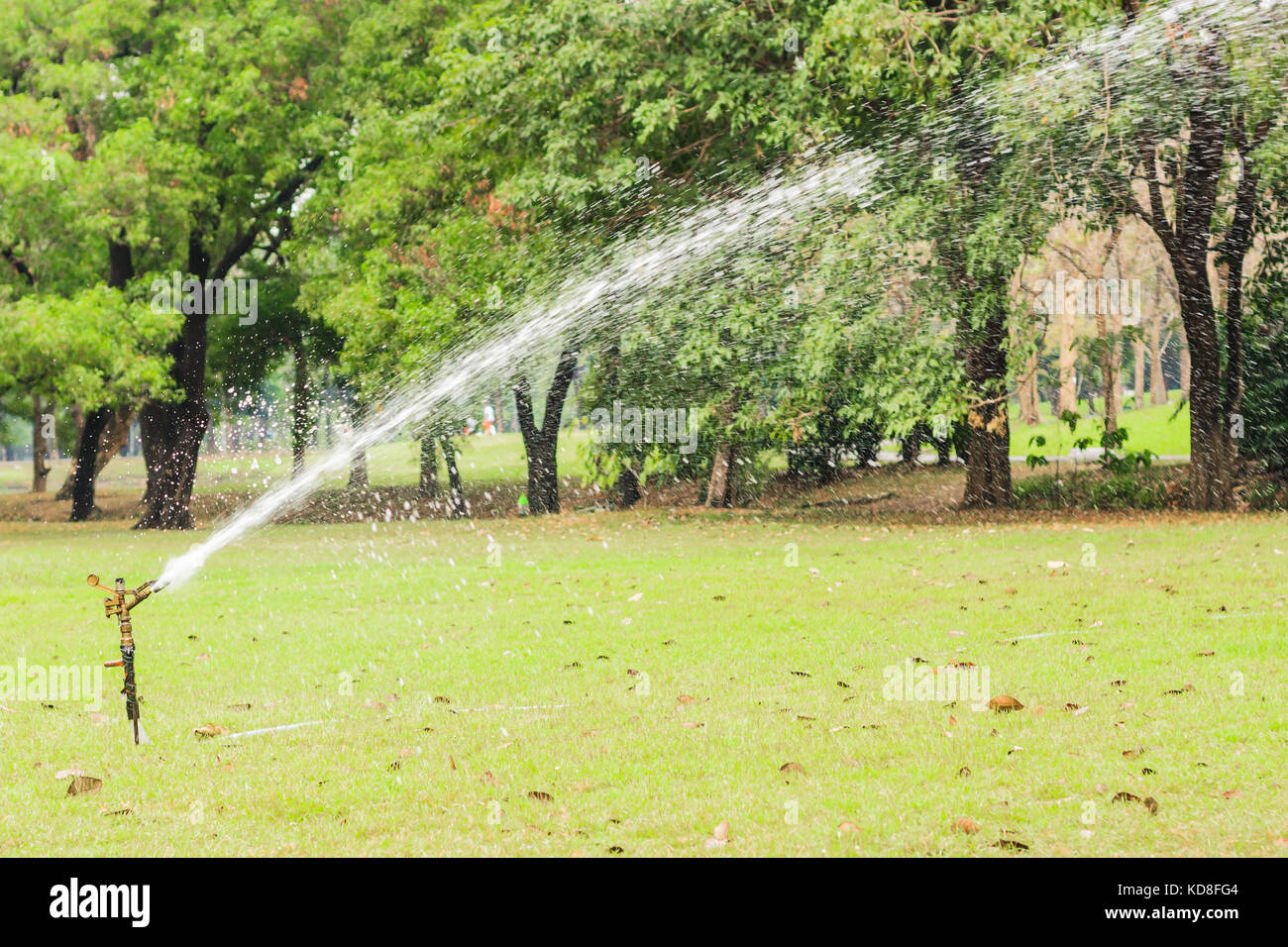 Watering in golf course Stock Photo Alamy