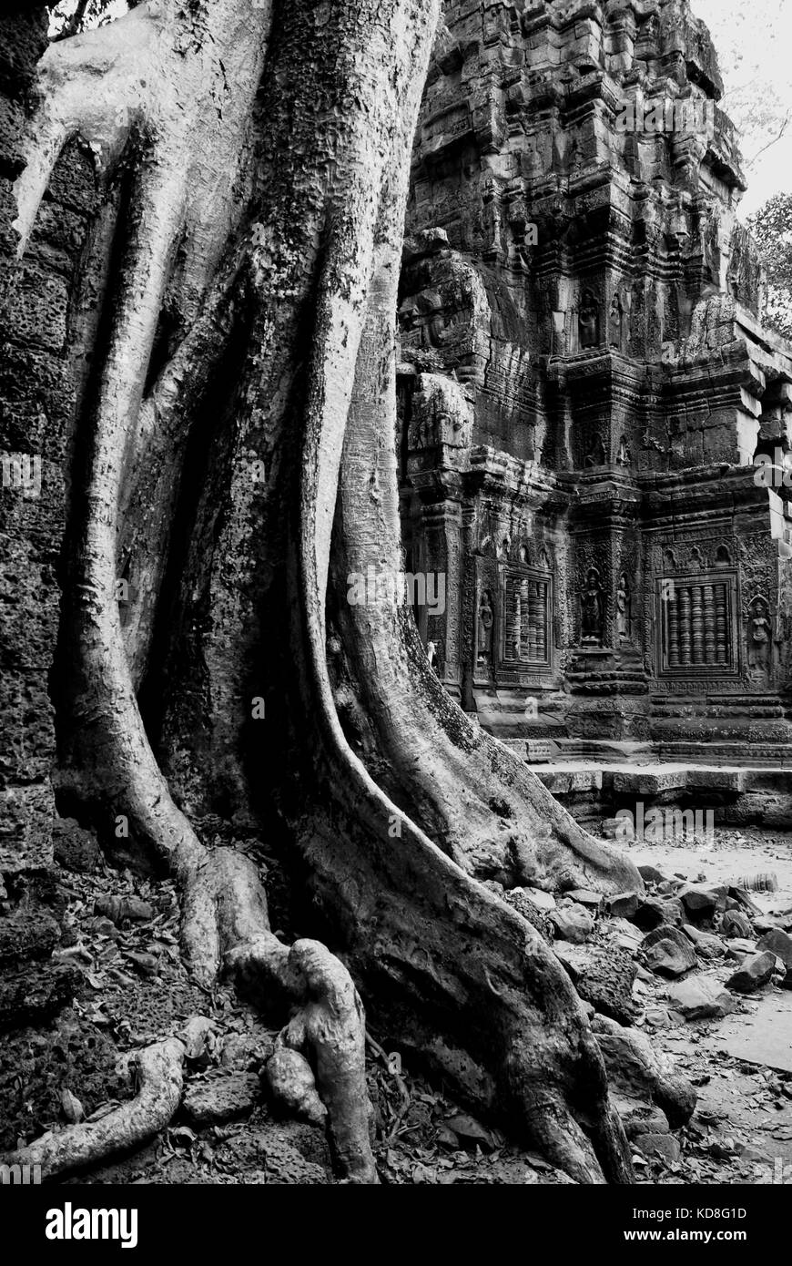 The Temples of Angkor Wat near Siem Reap, Cambodia have been designated a UNESCO World Heritage Site Stock Photo