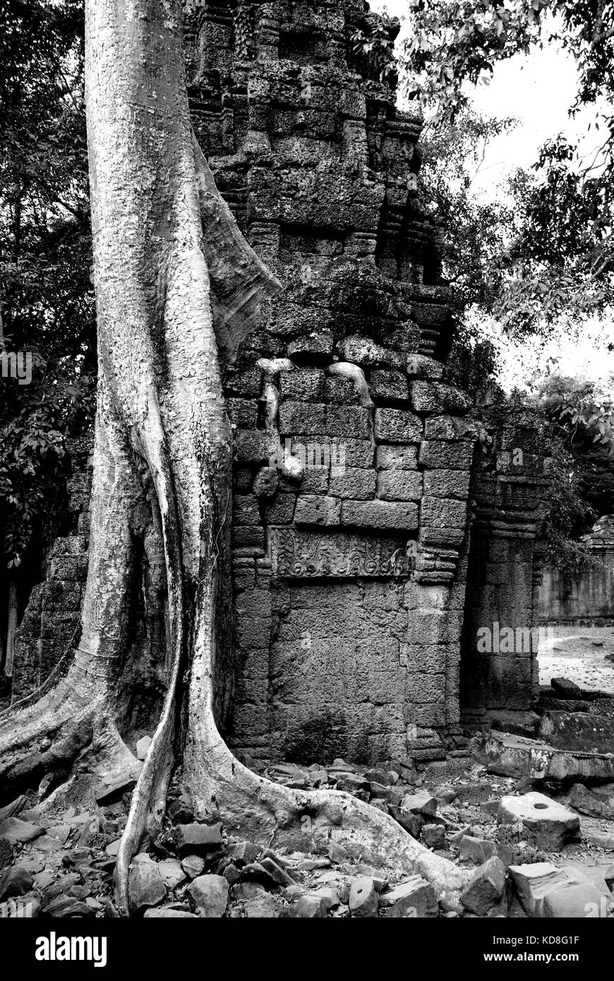 The Temples of Angkor Wat near Siem Reap, Cambodia have been designated a UNESCO World Heritage Site Stock Photo