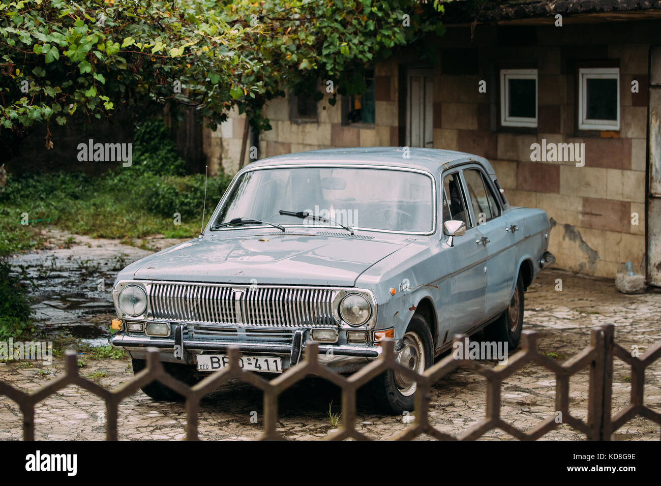 Parked Gray Volga GAZ-24, Old Retro Car Near House Under Green Vine Canopy. Stock Photo