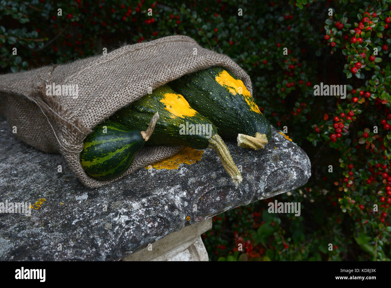 Three green ornamental gourds in a rough sack, on a stone garden seat Stock Photo