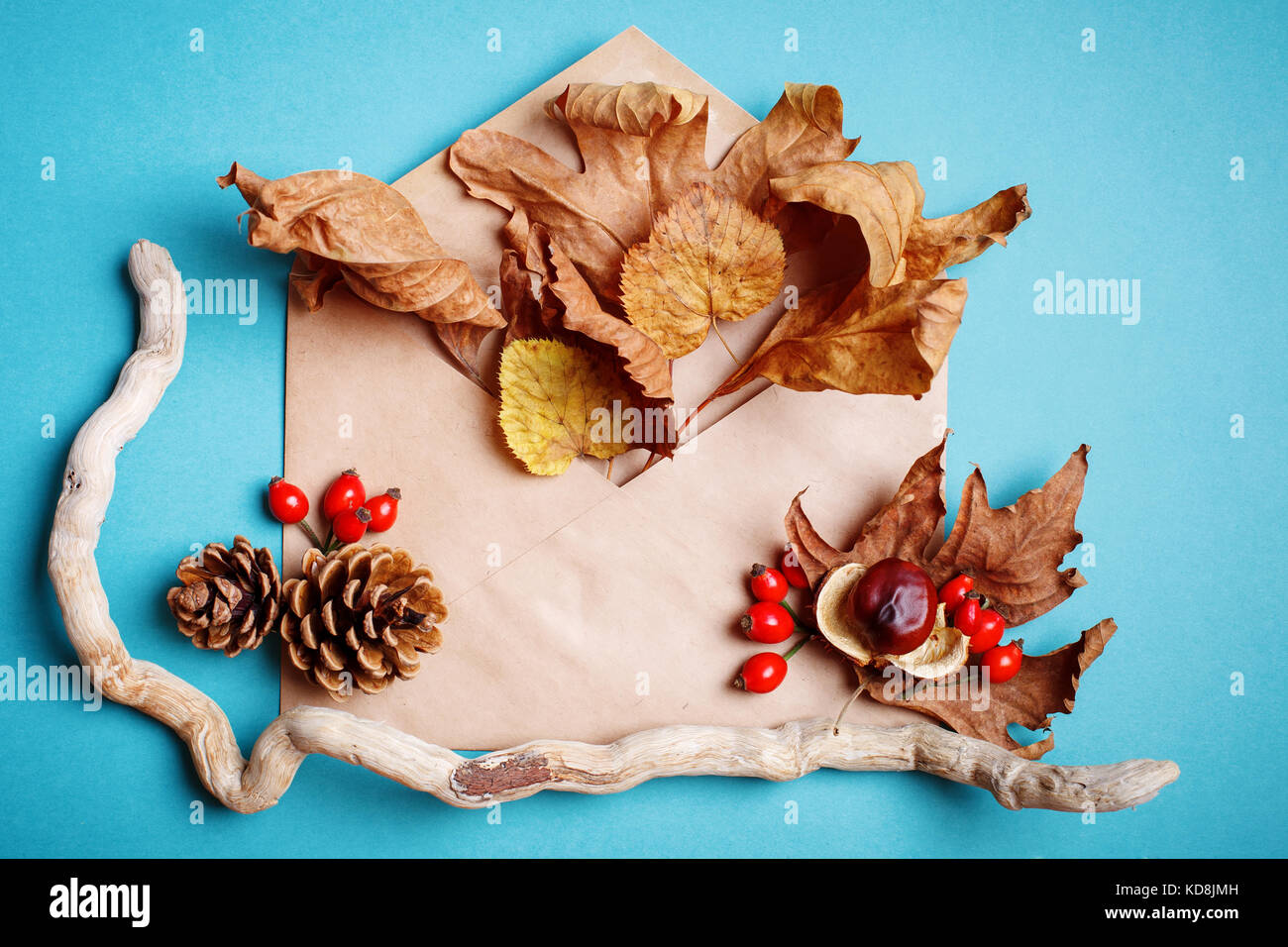 Autumn leaves and pine cones on a blue background. Autumn background ...