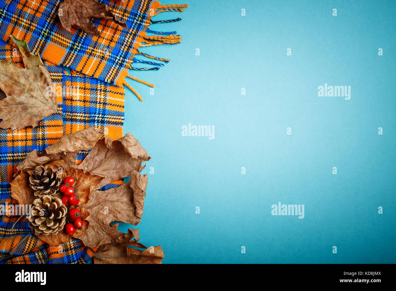 Autumn leaves and pine cones on a blue background. Autumn background ...