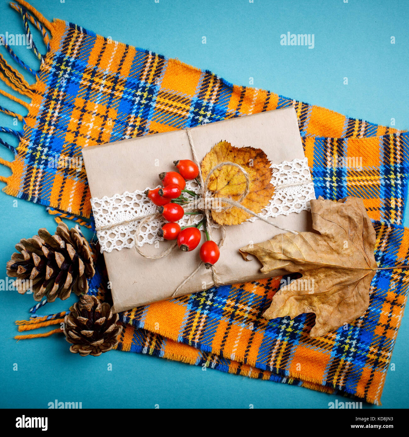 Autumn leaves and pine cones on a blue background. Autumn background ...