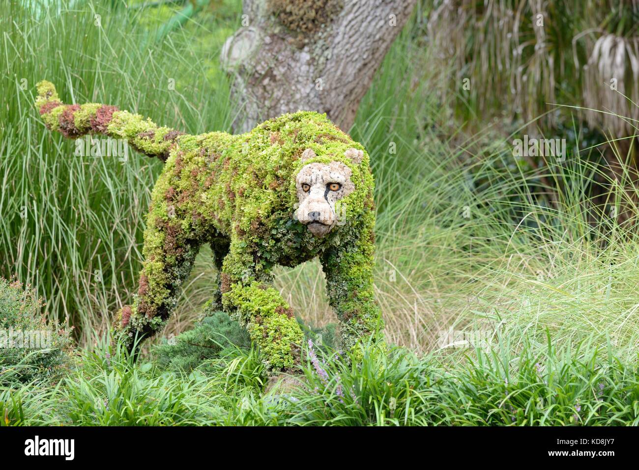 Topiary cheetah display in Busch Gardens, Florida, USA Stock Photo