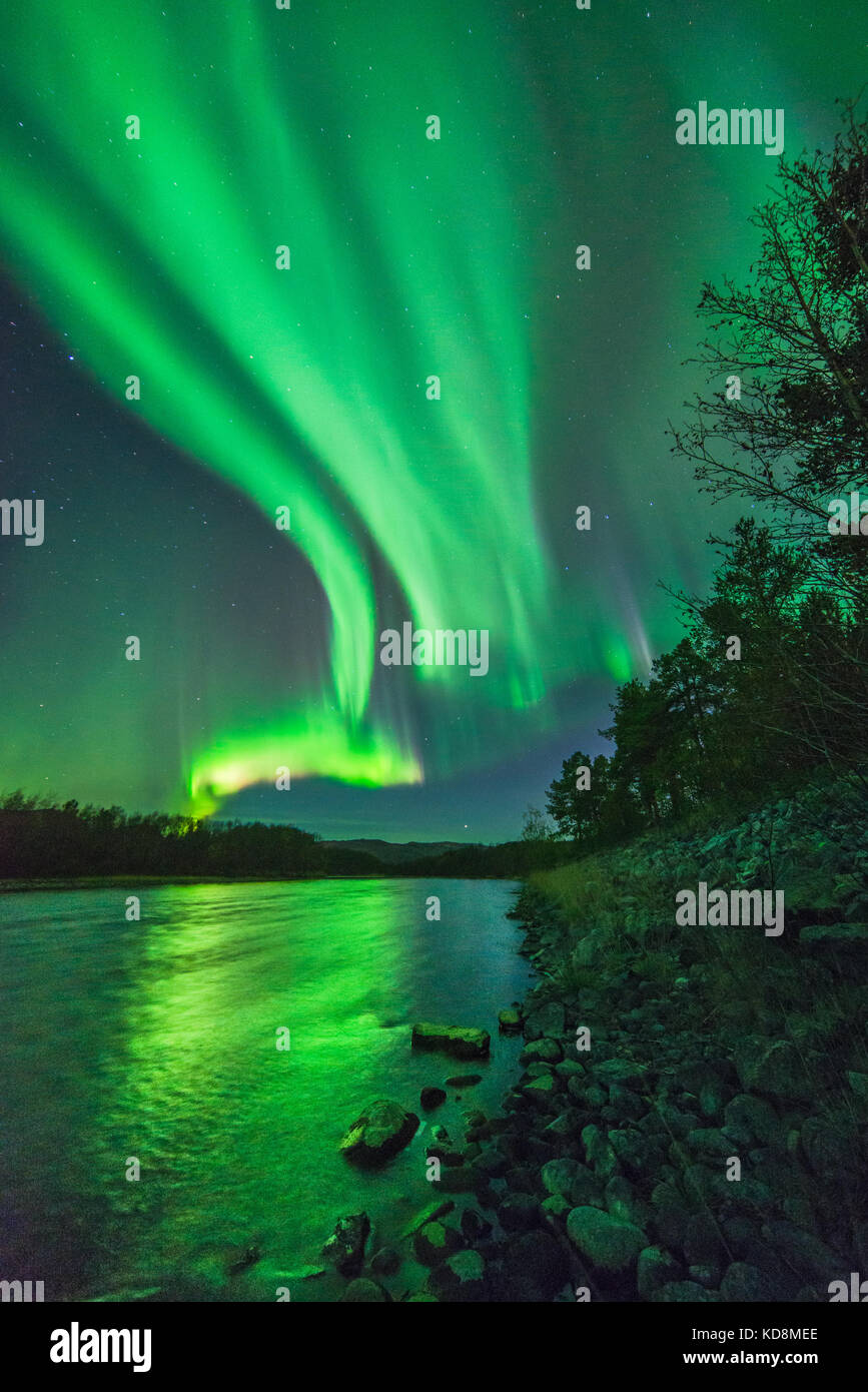 Northern lights above Alta river, looks like a swan bird Stock Photo