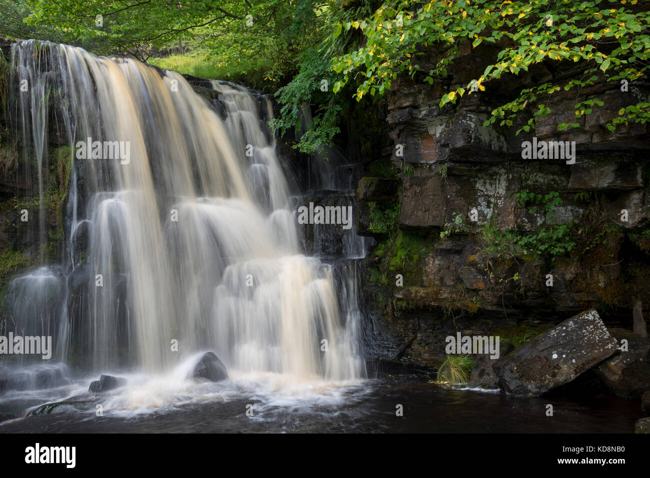 Upper section of East Gill Force, Keld, Upper Swaledale, North Yorkshire, England. Stock Photo