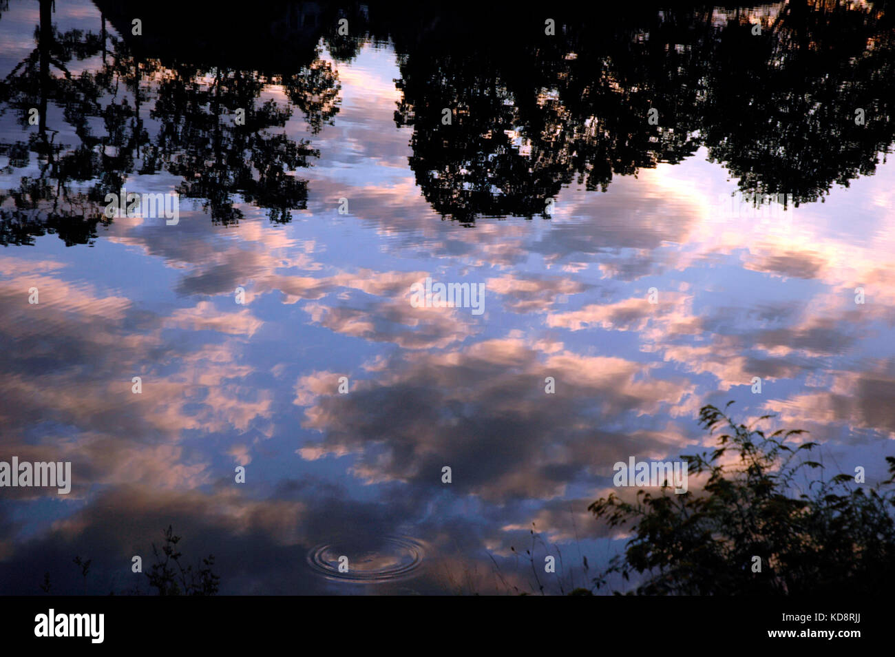 Reflections of clouds in the evening sun on the river Neckar, Stuttgart, Baden-Würtenberg, Germany Stock Photo