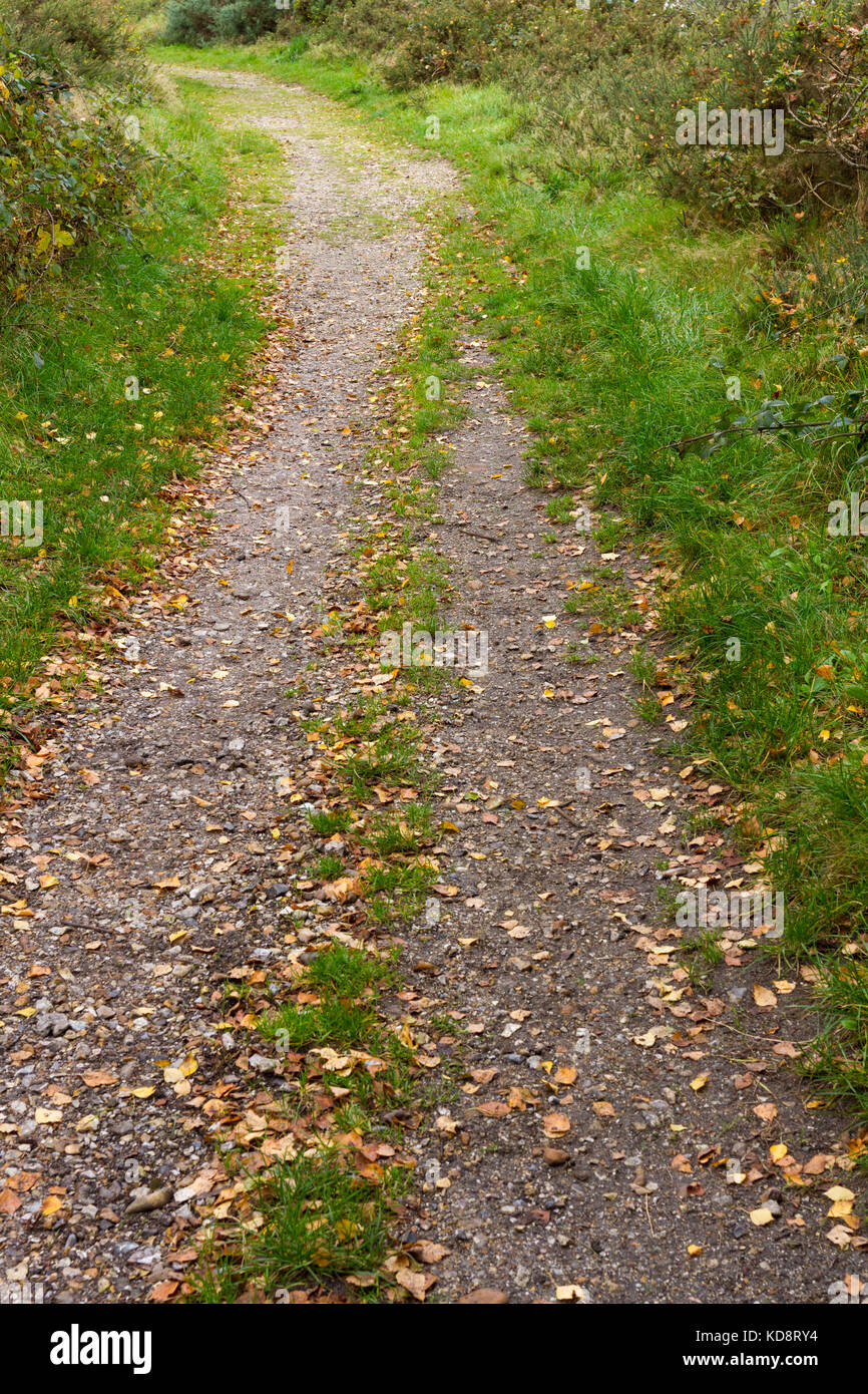 Leaves pathway hi-res stock photography and images - Alamy