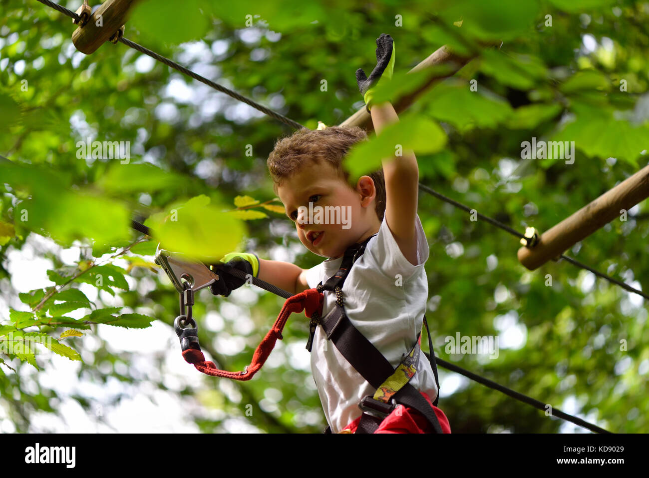 Kids climbing in adventure park. Boy enjoys climbing in the ropes course adventure. Child climbing high wire park. Happy boys playing at adventure par Stock Photo