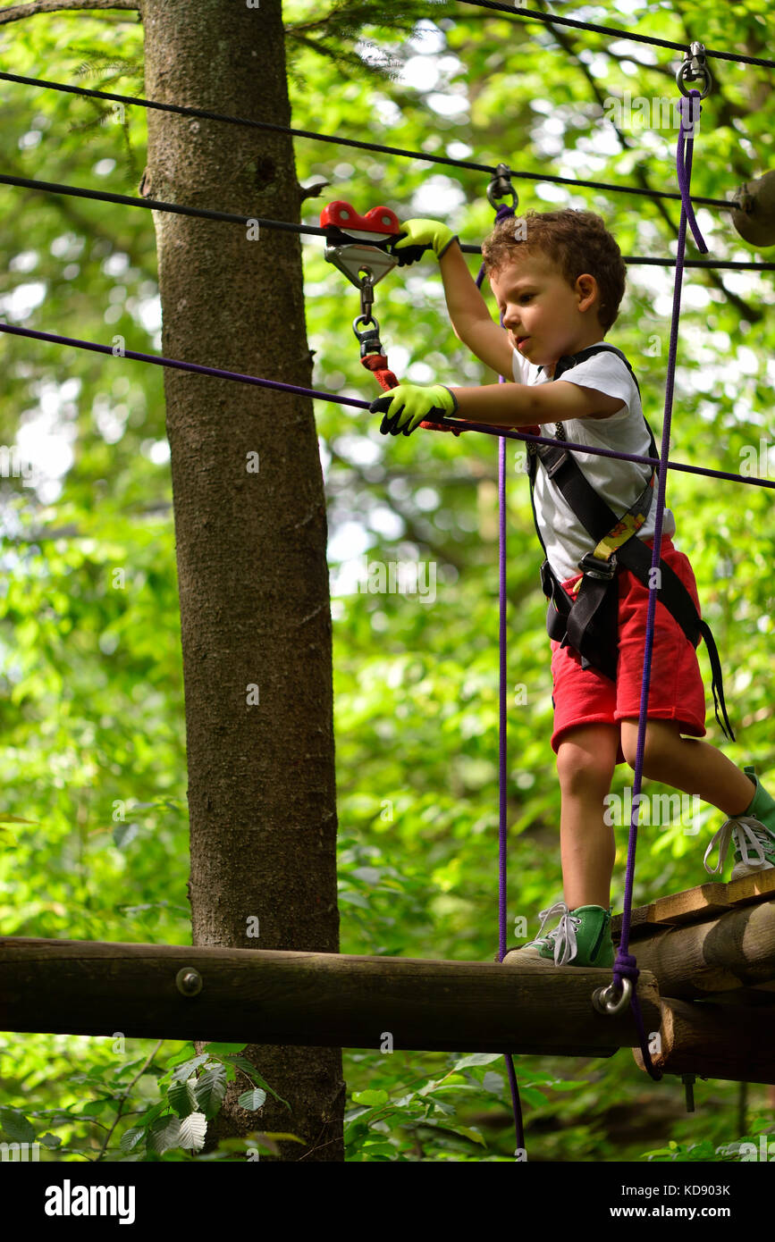 Kids climbing in adventure park. Boy enjoys climbing in the ropes course adventure. Child climbing high wire park. Happy boys playing at adventure par Stock Photo