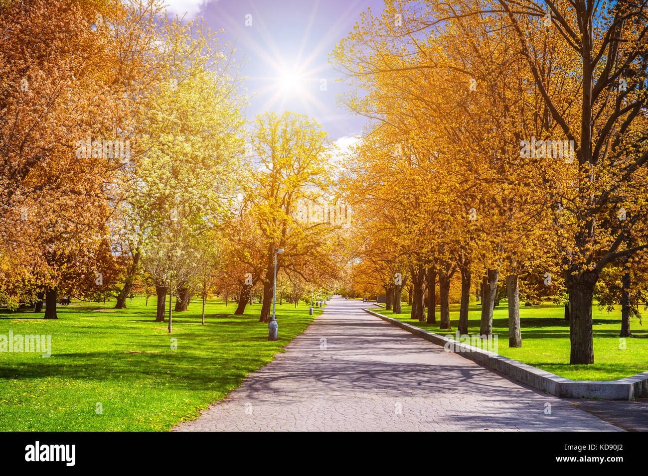 Magical autumn park with path and fantastic glow, fairytale landscape with red foliage Stock Photo
