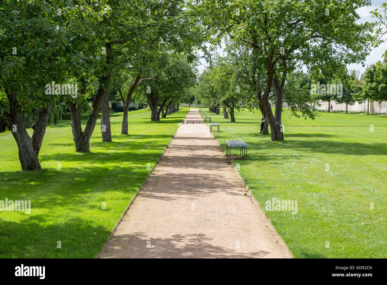 Path through the park Stock Photo