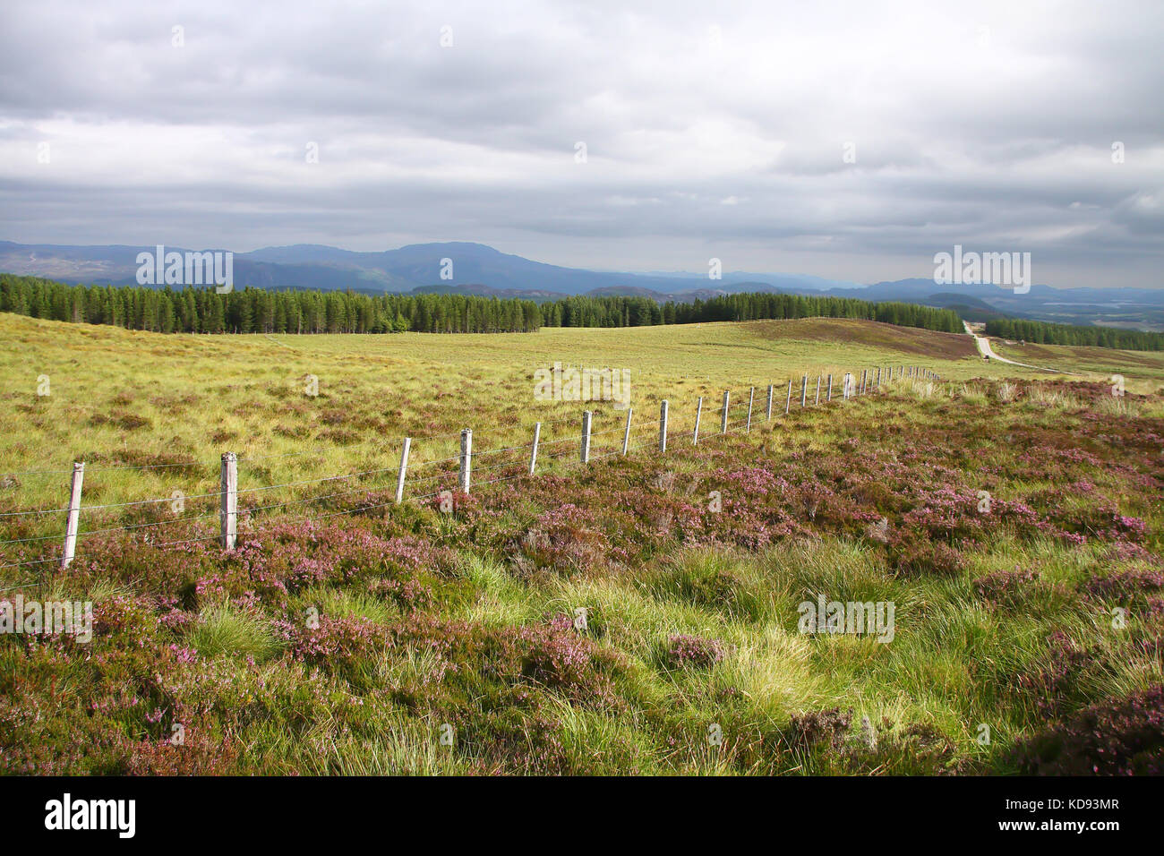 Fence in scottish moorland, Scotland. UK. Stock Photo