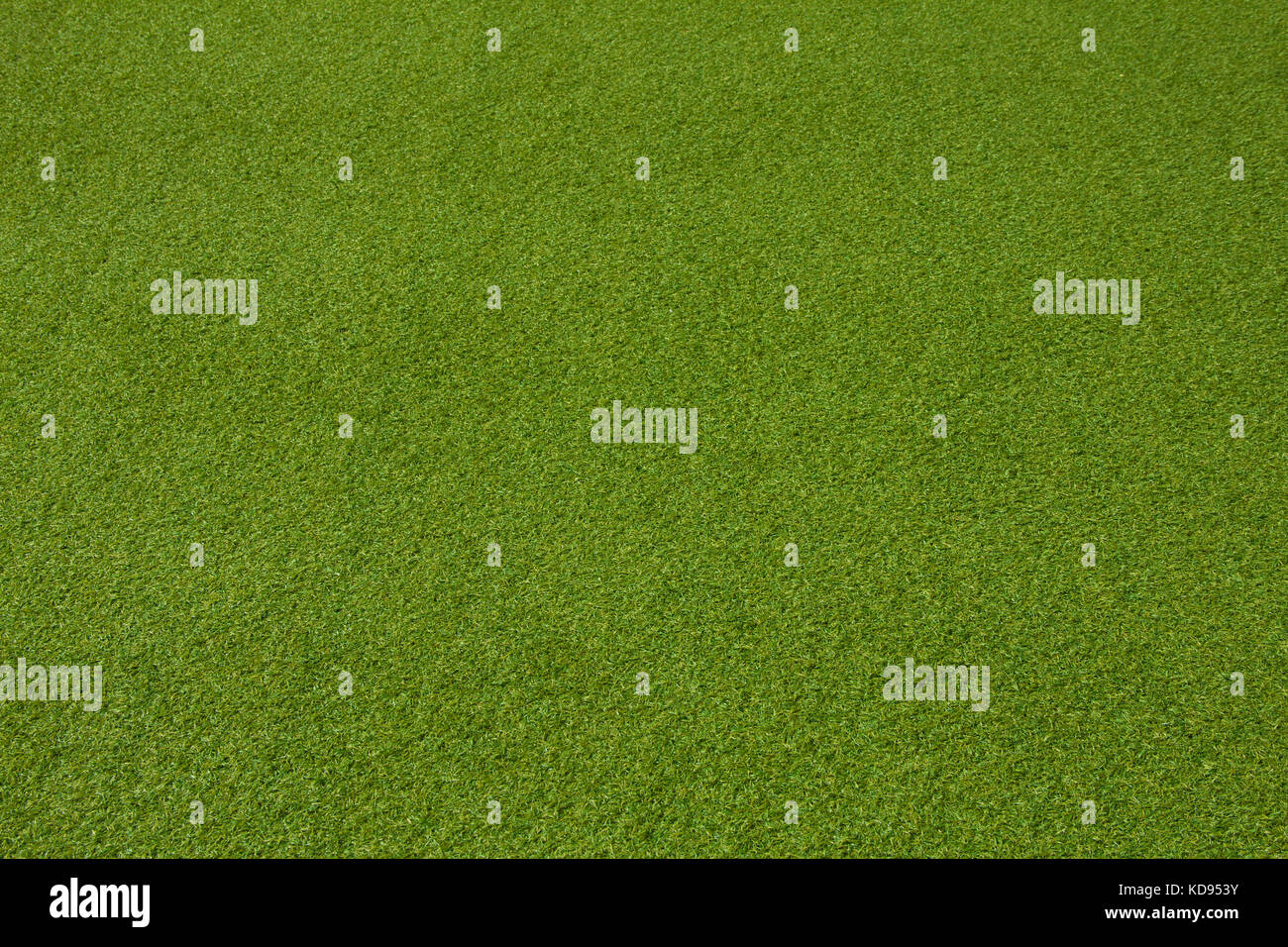 Grass texture. grass background. artificial grass Stock Photo