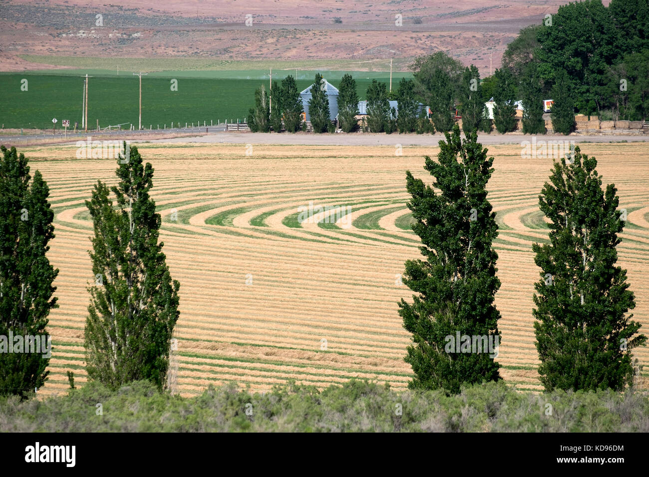 Harvest Patterns in Hay Fields near Bruneau Idaho Stock Photo Alamy