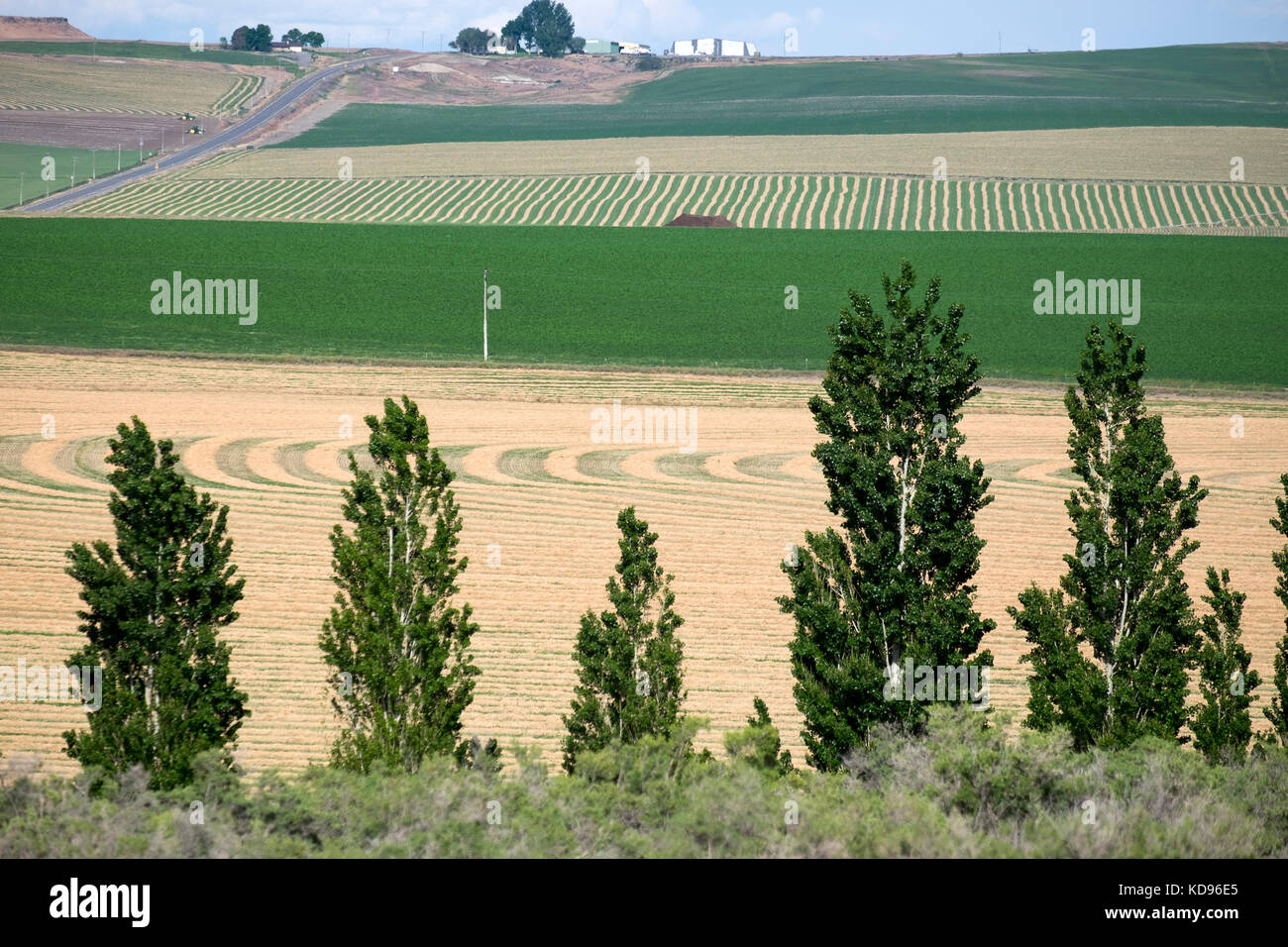 Harvest Patterns in Hay Fields near Bruneau Idaho Stock Photo Alamy