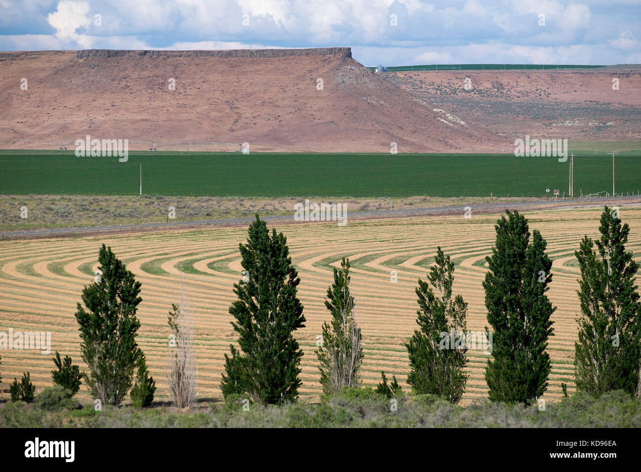 Harvest Patterns in Hay Fields near Bruneau Idaho Stock Photo Alamy
