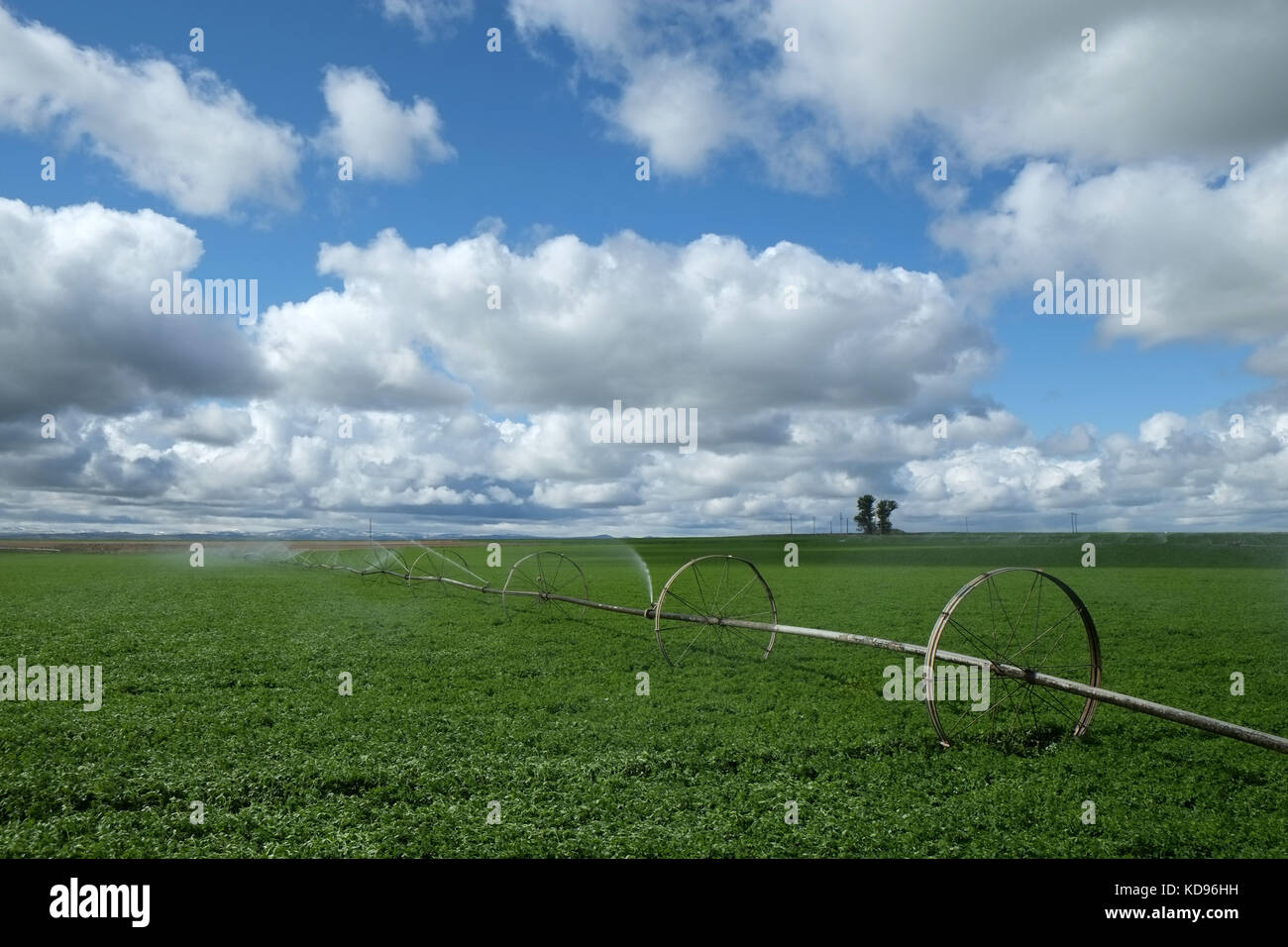 Center pivot irrigation hi-res stock photography and images - Alamy