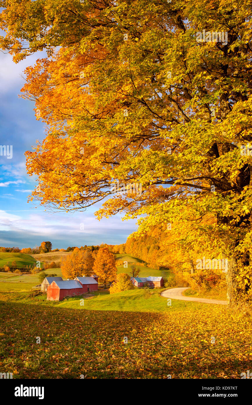Autumn dawn at the Jenne Farm near South Woodstock, Vermont, USA Stock Photo