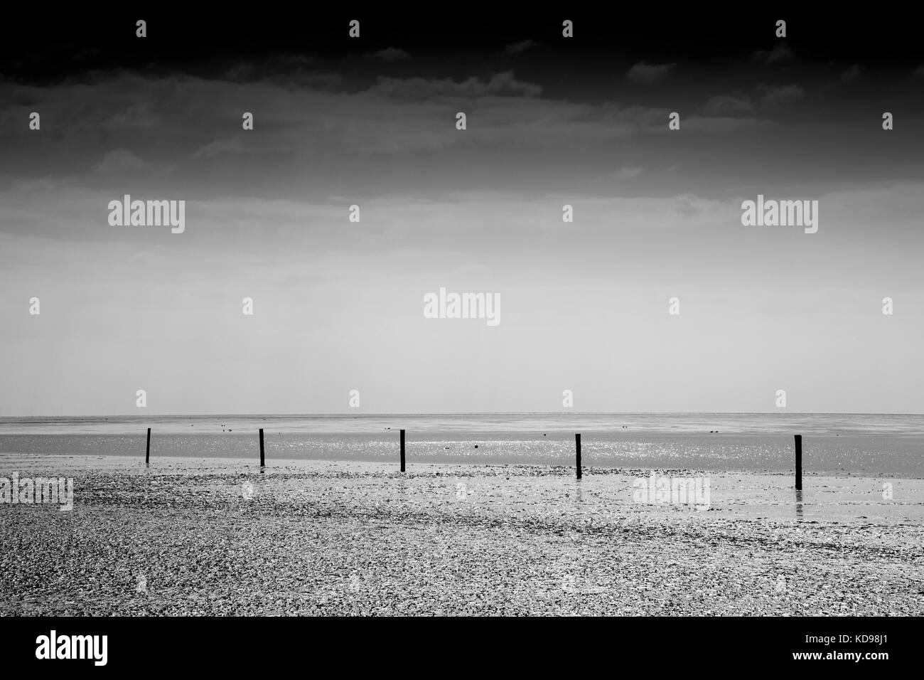 Atmosphre at the Lower saxon wadden sea national park, Lower saxony, Germany, Europe Stock Photo