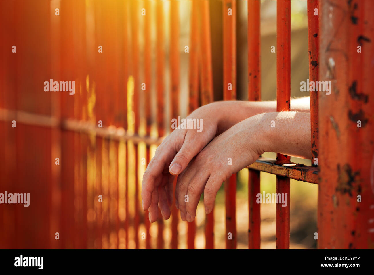 Female hands behind prison yard bars, incarcerated captivated person in jail Stock Photo