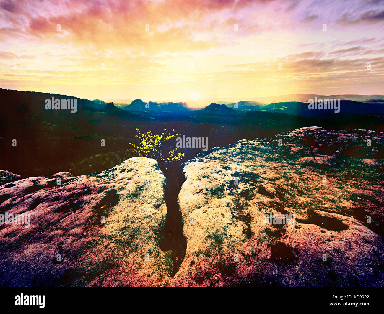 Lens defect. Spring morning nature. The cracked sandstone cliff above ...