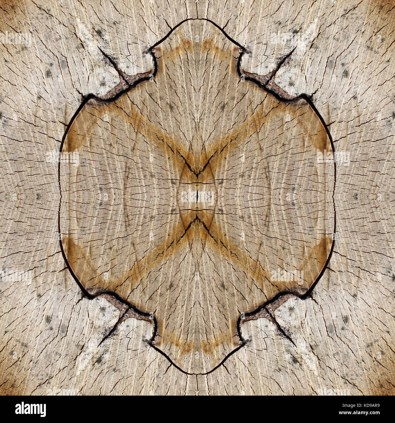 Cut tree trunk - bizarre texture of wood - annual rings - digitally ...