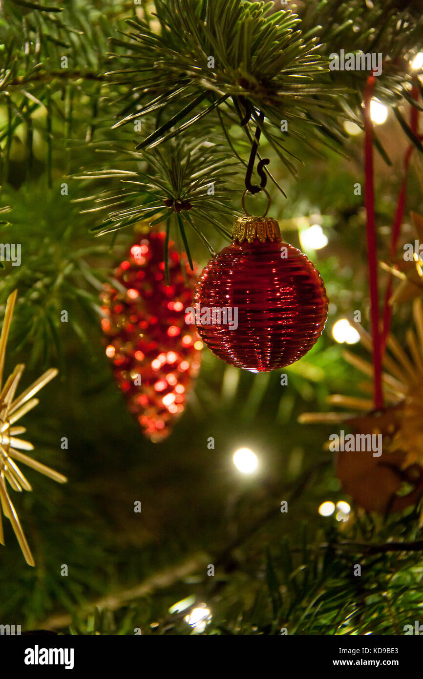 Shiny red Christmas Ball hanging on Pine Tree Stock Photo