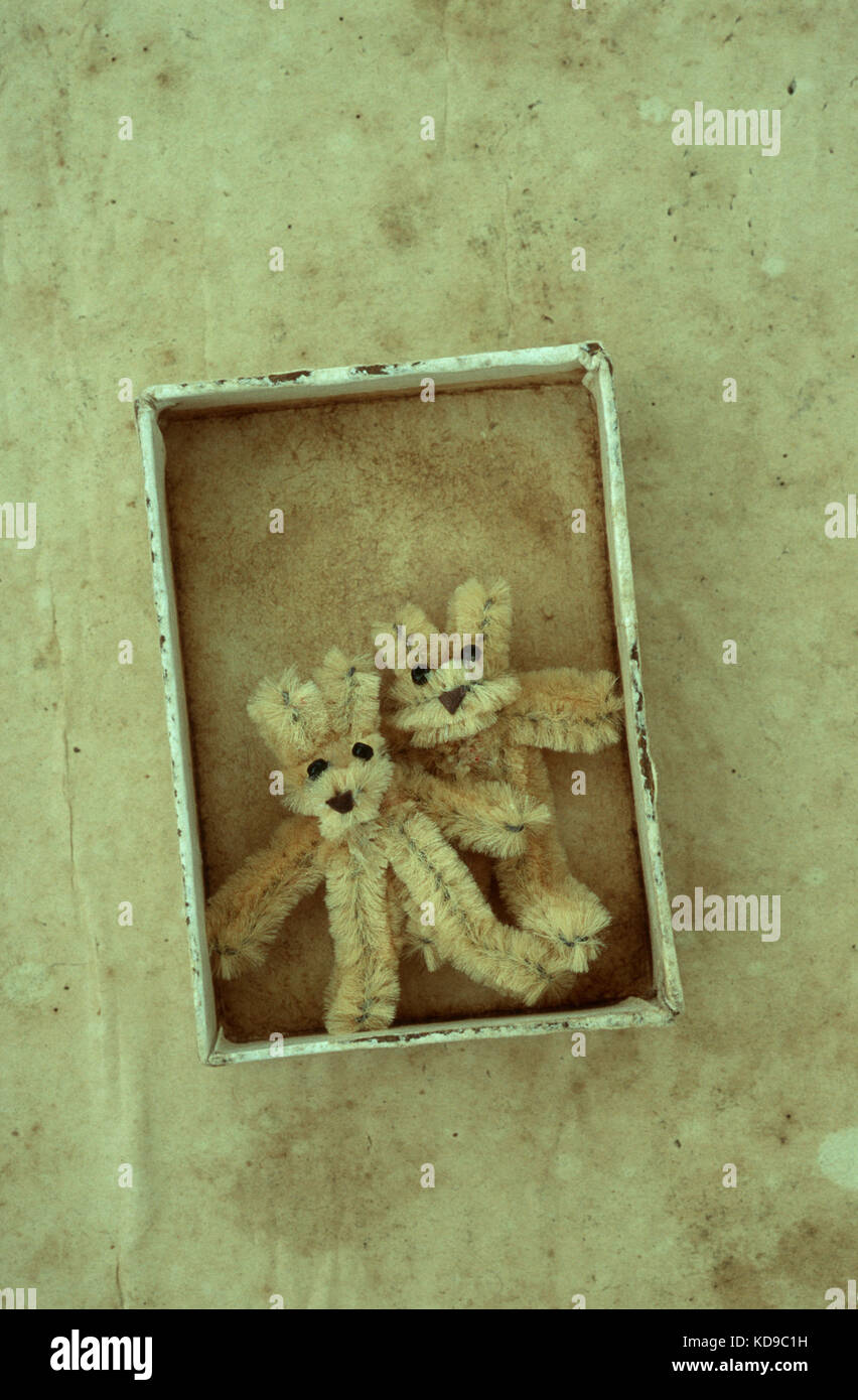 Two small beige teddy bears made from pipe cleaners lying in small cardboard box Stock Photo