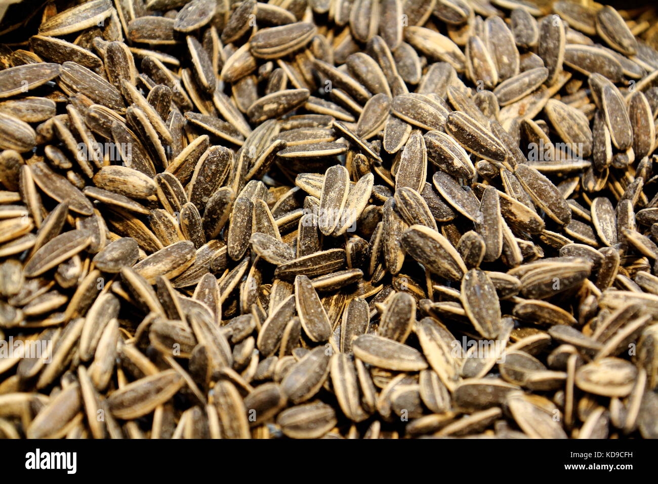 Dried seeds background Stock Photo - Alamy