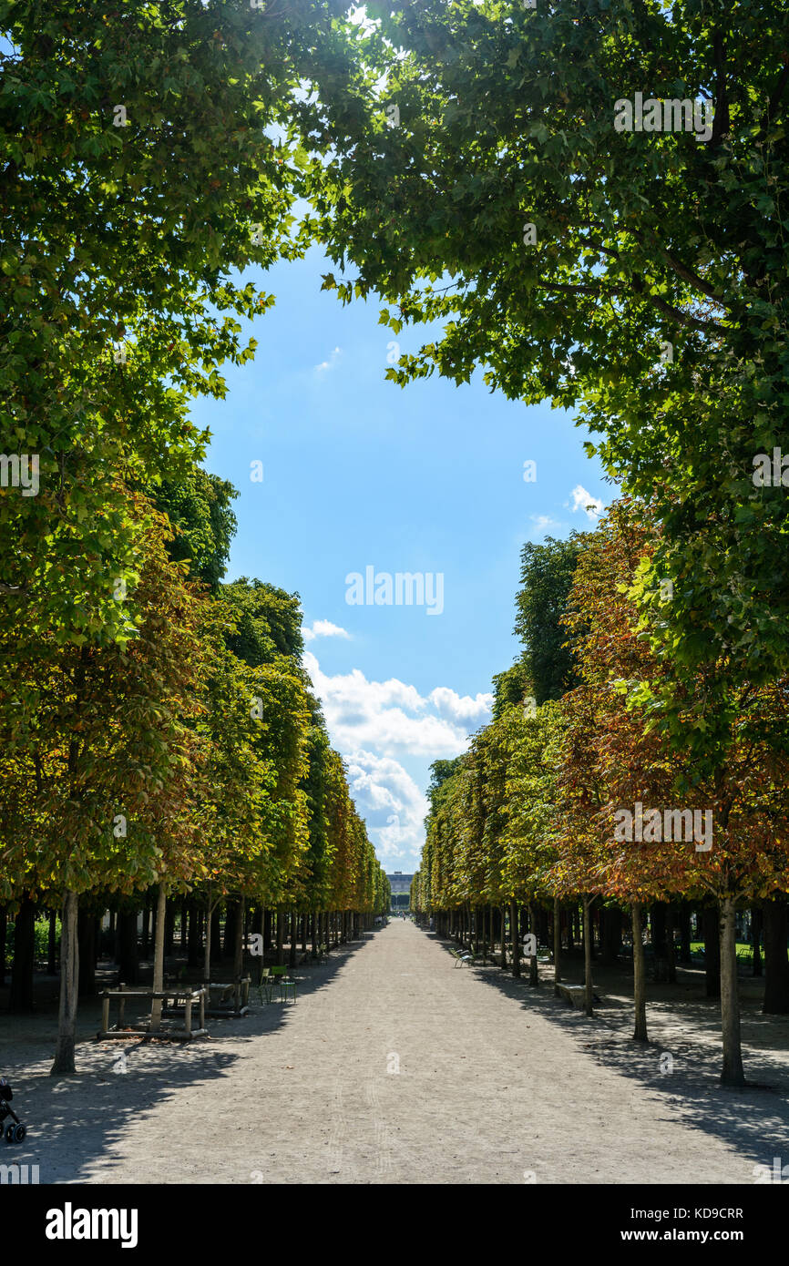 A sunny alley bordered with chestnut trees in the Tuileries garden in Paris at the end of summer. Stock Photo