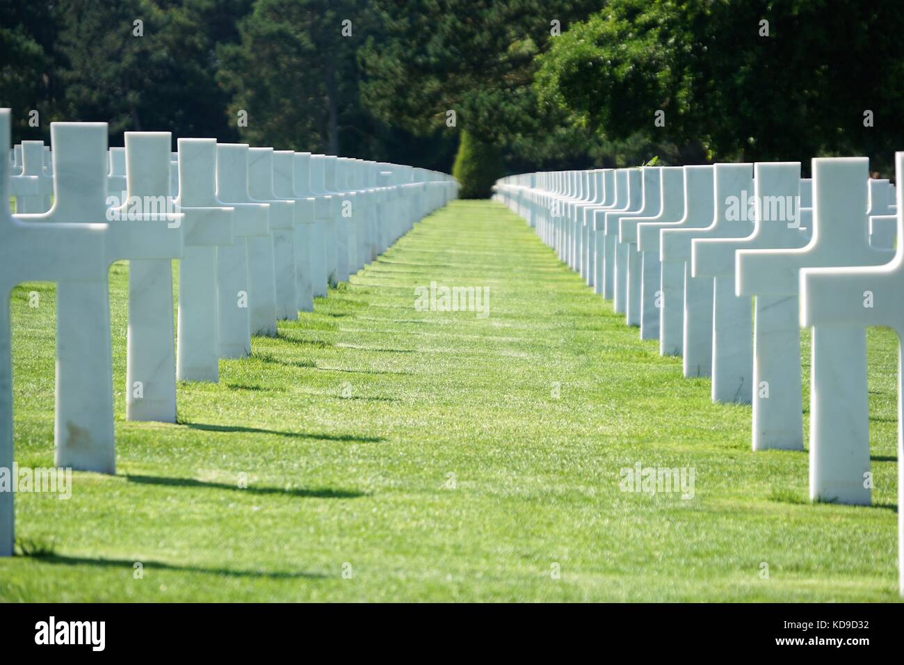 World War 2 memorial white crosses on grass with trees in background Stock Photo