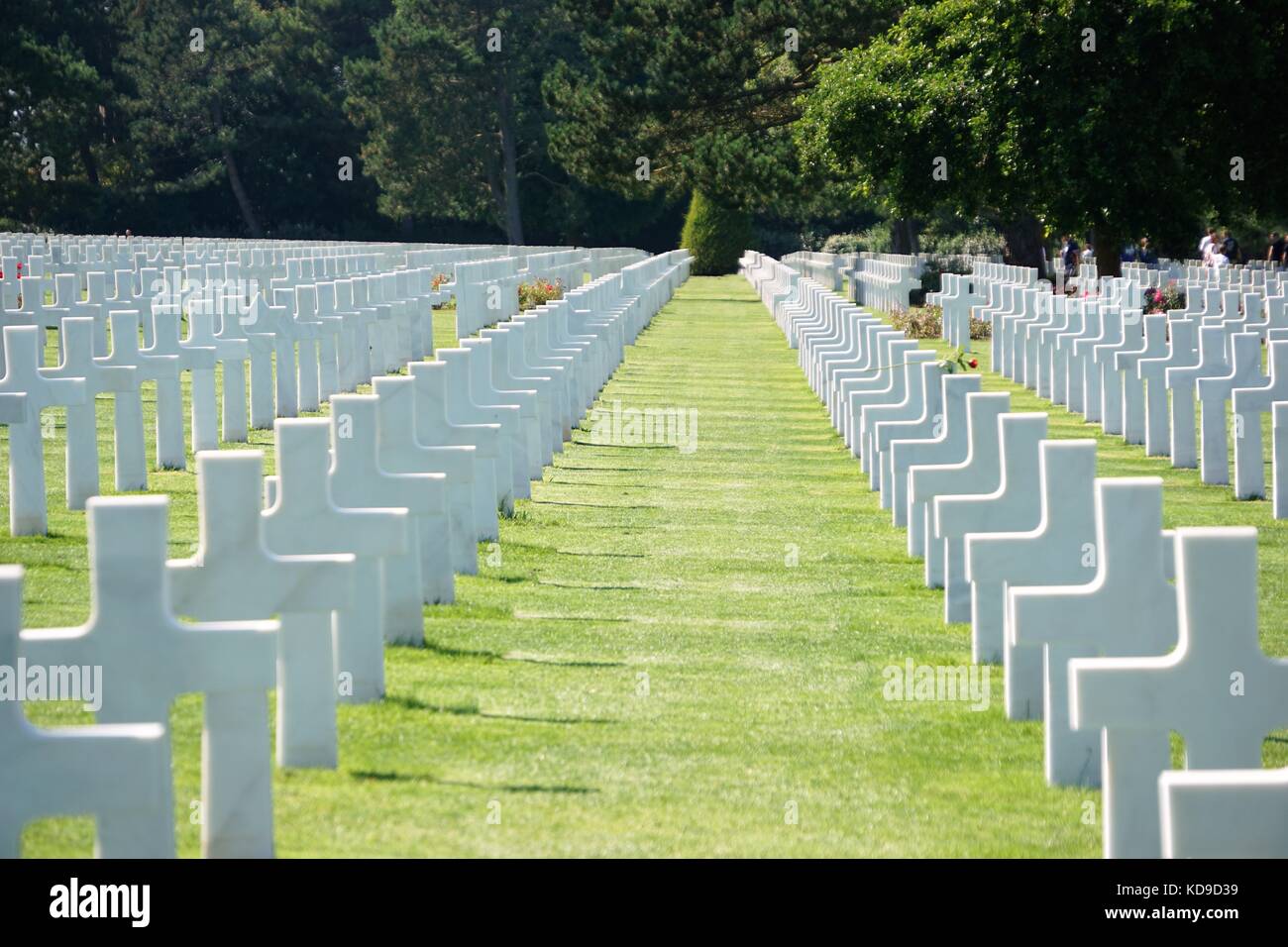 World War 2 memorial white crosses on grass with trees in background Stock Photo