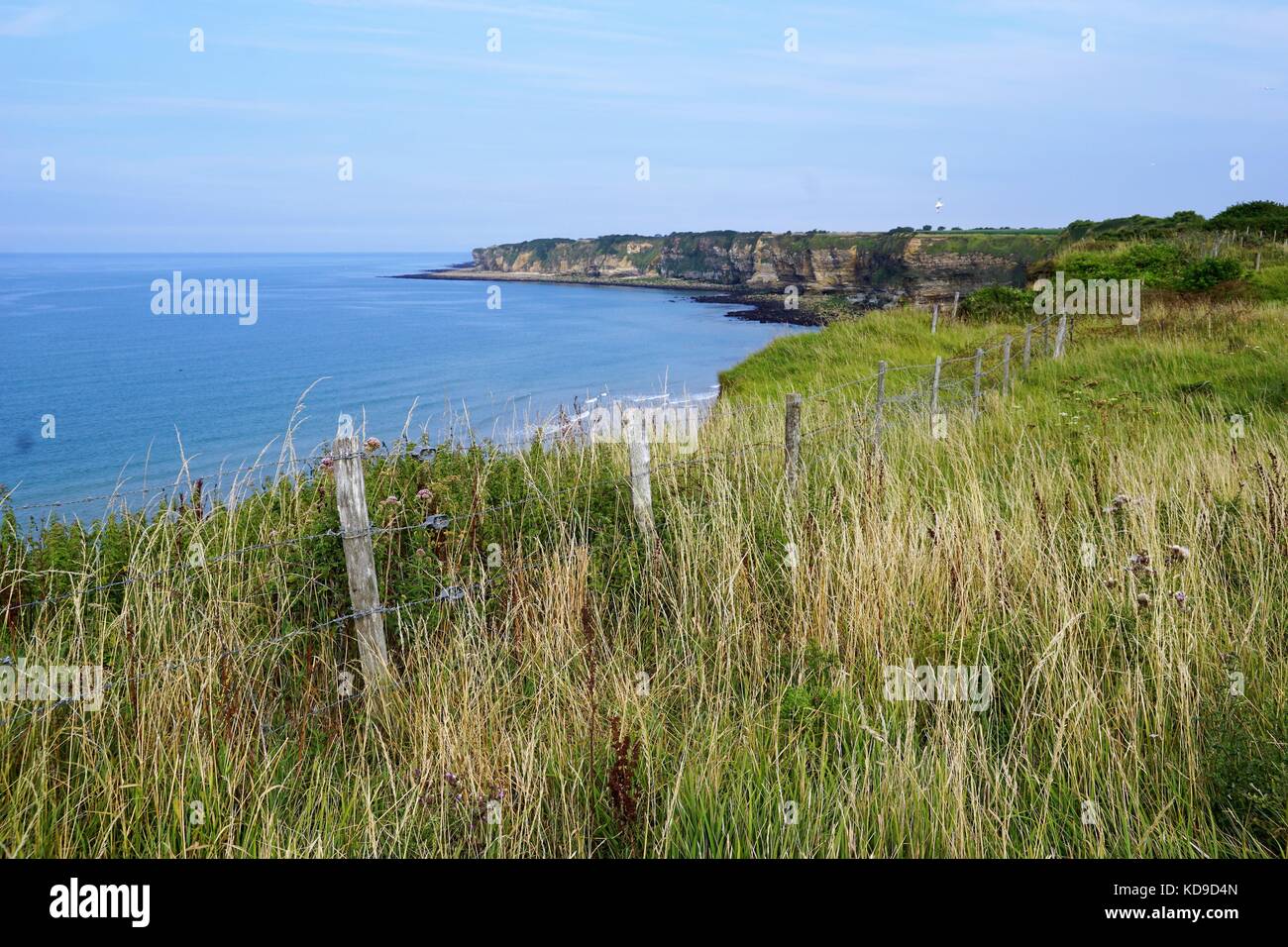 coastline/cliffs surrounded by grass, weeds & mud against a blue sky Stock Photo