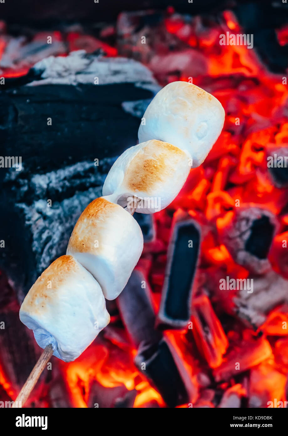 Set of sweet marshmallows roasting over red fire flames. Marshmallow on