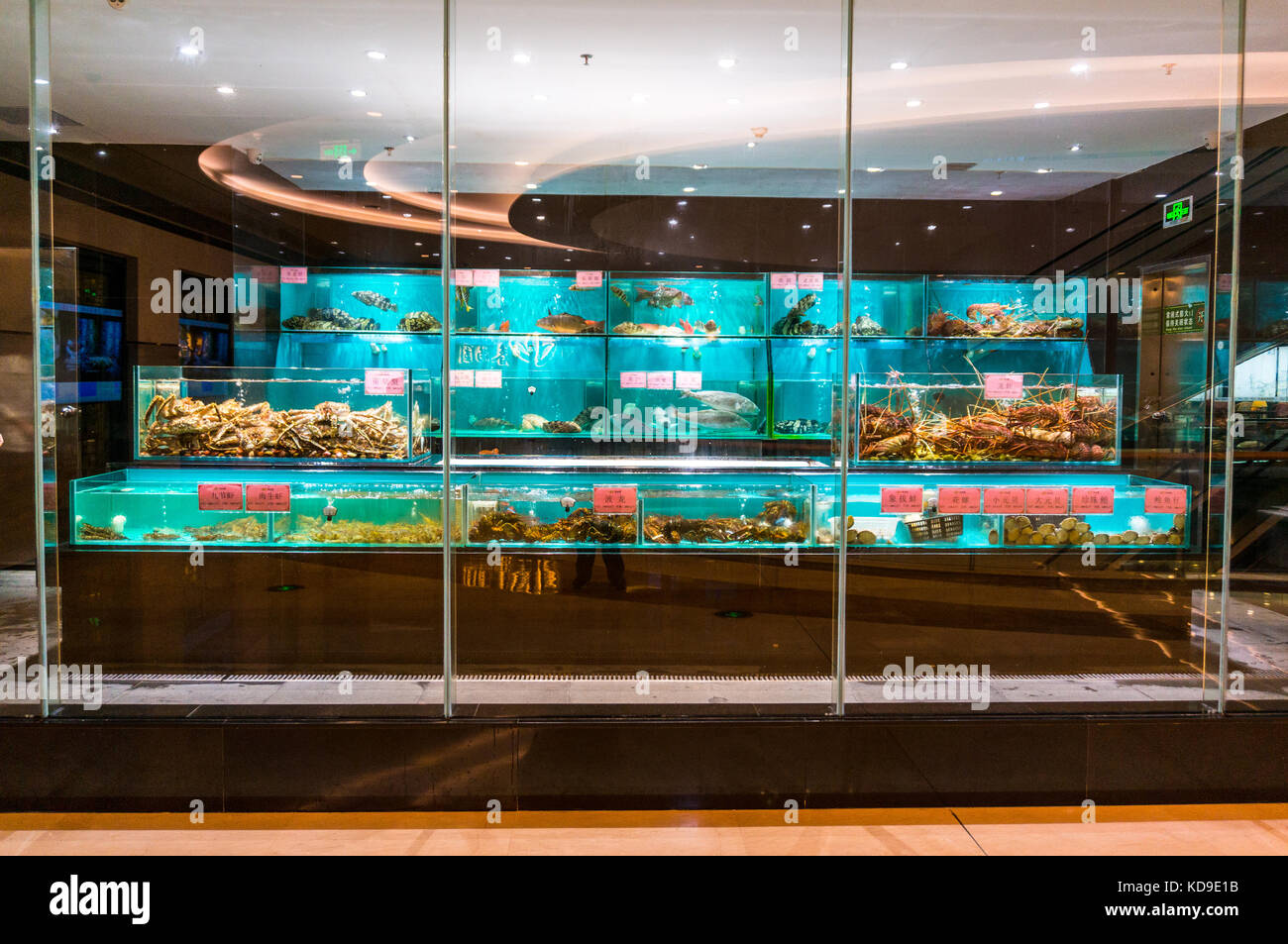 Live seafood in tanks at a Chinese seafood restaurant in Shenzhen, China Stock Photo