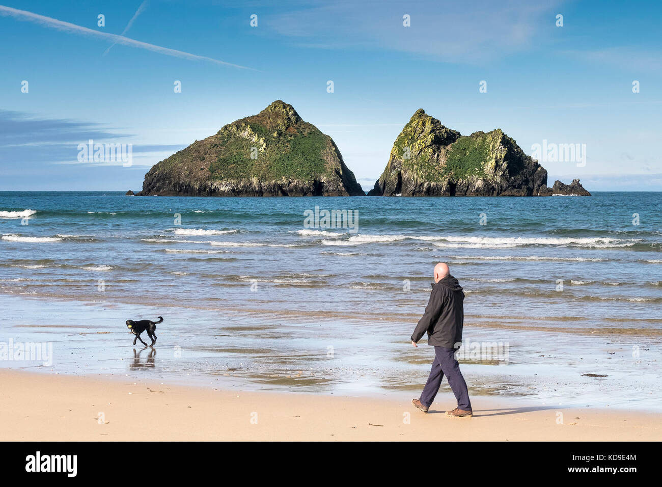 Dog walking at Holywell Bay - a man walking his dog along the shoreline at Holywell Bay Cornwall with the iconic Gull Rocks in the background. Stock Photo