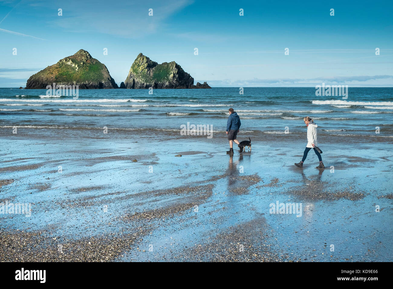 Dog walkers on the beach at Holywell Bay Cornwall. Gull Rocks at