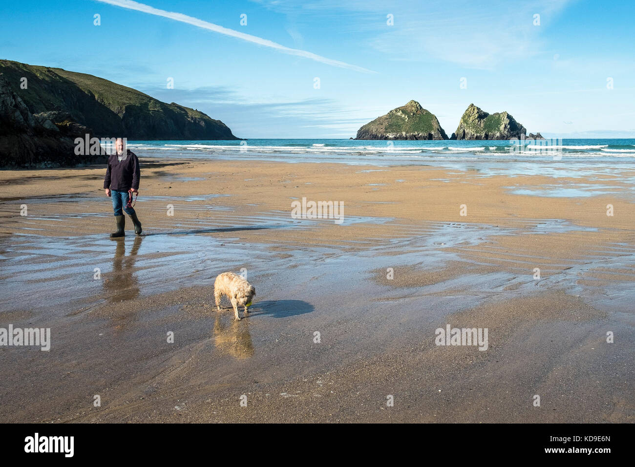 A dog walker on the beach at Holywell Bay Cornwall - Holywell Bay one of the iconic Poldark film locations in Cornwall. Stock Photo