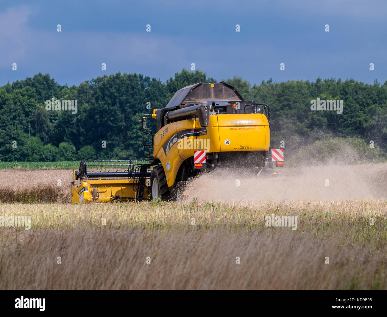 Combine harvester in a grain field in Niedersachsen near Barum, Elbmarsch, Germany. Stock Photo