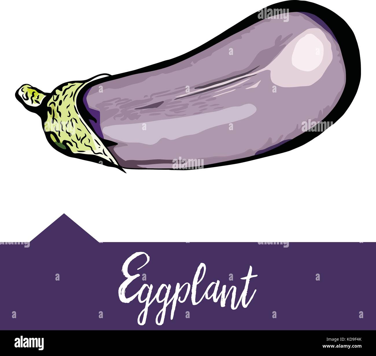 Vector illustration of eggplant depicted in hand drawn graphics Stock