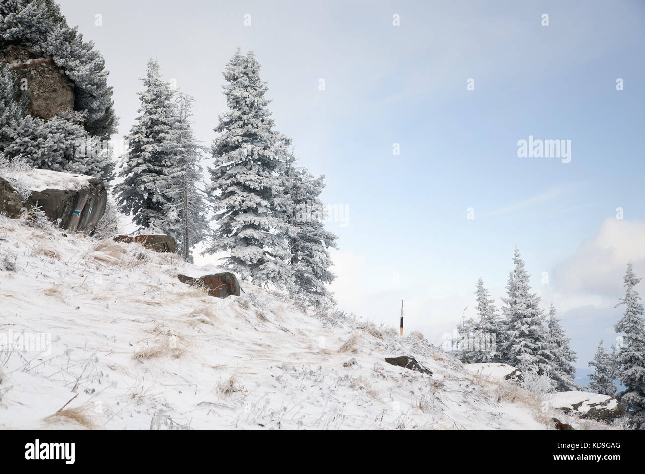 winter landscape with snowy fir trees in the mountains Stock Photo - Alamy