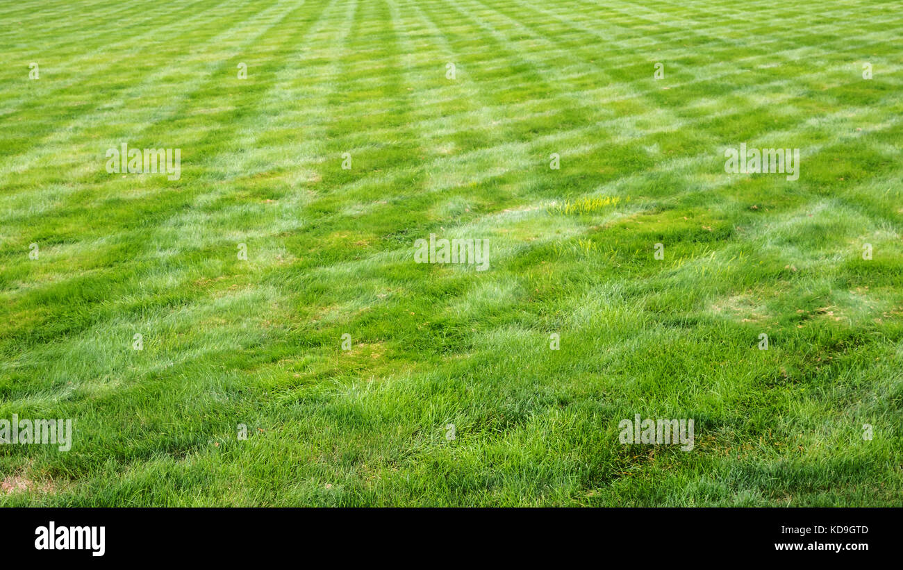 Green field with cut grass, Cairnwood Estate,  Bryn Athyn Historic District, Pennsylvania, USA Stock Photo