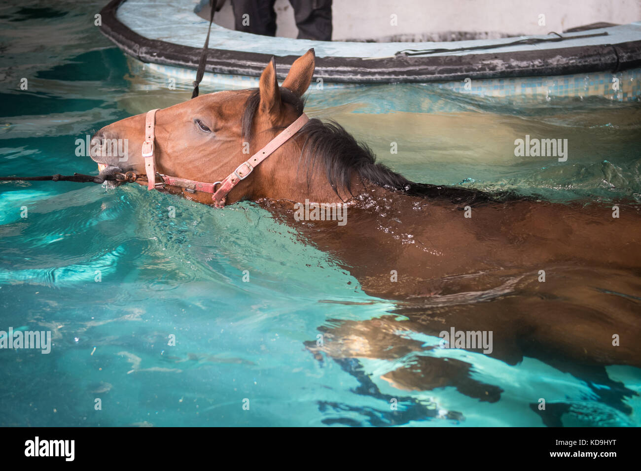 Deep Water Racing Stock Photos & Deep Water Racing Stock Images - Alamy